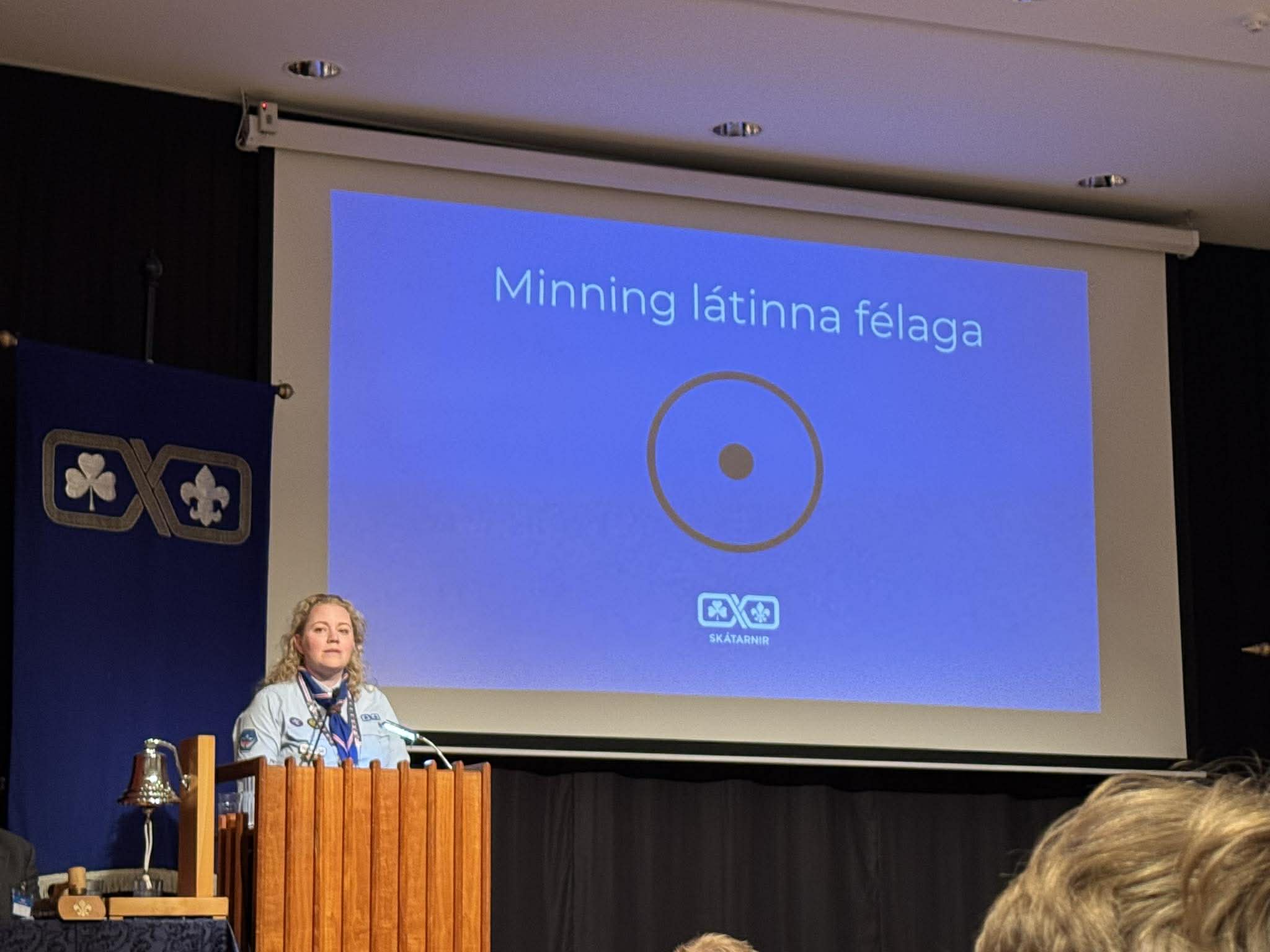 Minning fallina félaga